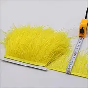 QR 5 Meter 10-15CM Colored Real Ostrich Feather Trims for Skirt Dress Costume Ribbon Feathers Trimming Fringe Plumes D19 (Color : A-09)