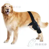 在飛比找蝦皮購物優惠-❤️MOKO❤️狗狗護腿狗護具 ACL韌帶撕裂受傷保護康復帶