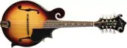 Washburn M3SWK Florentine Style Cutaway Natural Mandolin with Case