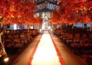 30 ft Satin Aisle Runner 60" wide 100% Seamless Fabric Wedding 20 Colors