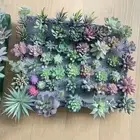 Add Life to Your Interiors with 12pc Miniature Artificial Succulent Plants