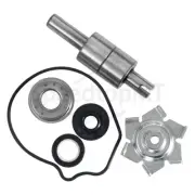 Water Pump Repair Kit For HONDA VT600C Shadow VLX 1988-2007 2006 NR750 RC40 1992