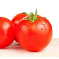 在飛比找蝦皮購物優惠-牛番茄種子 金珠小番茄種子 紅姑娘蕃茄種子 金番茄種子 紫精