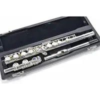 在飛比找Yahoo!奇摩拍賣優惠-☆金石樂器☆ yamaha  YFL271Flute 長笛 