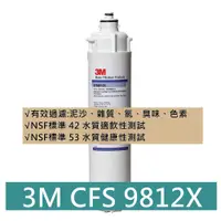 在飛比找蝦皮購物優惠-3M CFS-9812X 9812XS 9812ELX 濾芯