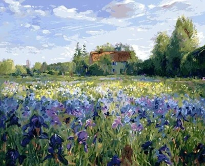 Paint By Numbers Adults kids Purple Wild Flowers DIY Painting Kit 40x50CM Canvas