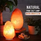 Himalayan Salt Lamp 10 in. Tall with Dimmer Switch - Night Light Table Lamp