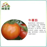 在飛比找Yahoo奇摩購物中心優惠-【綠藝家】大包裝G36.牛番茄種子0.2克 約72顆 (產地