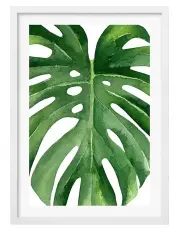 [Profile Australia] Australian Made Monstera Leaf Art Print A1 Frame in White