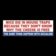 "SOCIALISM = MOUSE TRAP" Anti Liberal BUMPER STICKER Trump 2024 gun rights MAGA
