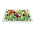 Digital Photo Frame 19in Screen White Music Clock Calendar Functions Pictu For