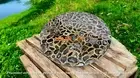 36" Black Agate Stone Round Coffee Table Handmade Gemstone Home & Garden Decors