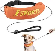 2 in 1 Dog Collar and Leashes,Small Dog Collar and Leashes Set | Adjustable Fit Chew-Proof Escape-Proof Harness for Training Obedience Hunting Outdoor Hiking Running Waterproof Nighttime