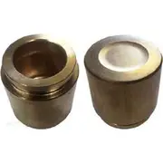 Protex Caliper Piston - 090P0511