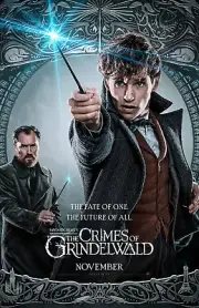 AA1371 Fantastic Beasts Crimes of Grindelwald 2018 Duo Crew Movie Poster 11x17