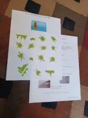 Kenner Ghostbusters Ecto Green Slime Reproduction Stickers