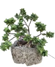 New Handmade Hypertufa Cement Planter Succulent Cactus Bonsai Pot Square 7"