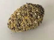 Cockatiel Small Parrot small pine cone small parrot seed edible chew treat toy