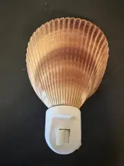 Sea Shell Night Light with Bulb. New.
