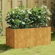 Raised Garden Bed, Elevated Planter Box Plant Container 80x40x40 cm Corten Steel