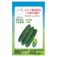 在飛比找PChome24h購物優惠-G71-1青海胡瓜(大黃瓜)種子