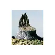 Woodland Scenics S31 N/HO Cut Tree Stumps (14) Train Scenery