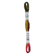 NEW DMC Coloris Ete Indien Thread By Spotlight