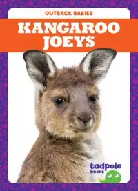 在飛比找博客來優惠-Kangaroo Joeys