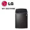 【LG 樂金】 WT-SD219HBG 蒸氣直立式直驅變頻洗衣機 21公斤 極光黑(含基本安裝)