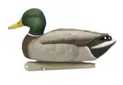 Avian X Top Flight Open Water Mallards Decoys, Ultra Realistic Floating, 6 Pack