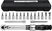 Bike Torque Wrench Set 1/4" Drive Click 1-25 Nm - Bicycle Maintenance Tool Kit for Road/Mountain Bikes - Includes Allen, Torx, Philip, Extended H5 Socket Bit Repair Set, Extension Bar & Storage Box
