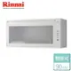 【林內 Rinnai】懸掛式烘碗機 LED按鍵 90公分 (RKD-390W)-北北基含基本安裝