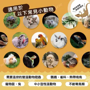 【MS.PET】原廠直送-陶瓷保溫燈組│鸚鵡保暖 鸚鵡保溫燈 陶瓷燈 倉鼠保暖燈 陶瓷保溫燈寵物保暖燈 ms.pet