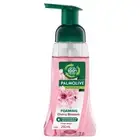 Palmolive Foaming Hand Wash Soap, 250mL, Japanese Cherry Blossom Pump, No Par...