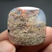 Scenic Moss Agate Cabochon 26x26x5mm High Quality 33 ct