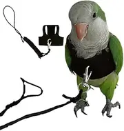 Bird Flight Harness Vest, Parrot Flight Suit with Leash for Parakeets Cockatiels Conures Budgies, Bird Flying Clothes with Rope and Handle for Outdoor Activities Training, Anti Bite (2M)