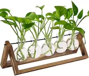 Enliansgo Plant Propagation Station, Plant Terrarium with Wooden Stand, Desktop Propagation Stations Glass Air Planter Holder for Indoor Live Hydroponics Plants Office Home Garden Decor - 5 Vases