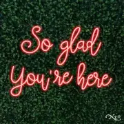 NEW "SO GLAD YOU'RE HERE" 25x18 LED FLEX WALL SIGN COLOR OPTIONS & REMOTE LF147