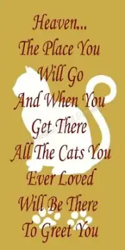 REUSABLE STENCIL 9370 6"x12 HEAVEN... THE PLACE YOU GO-Mylar SIGN Stencils