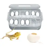 Small Reptile Egg Incubator 12-Grid Professional Breeding Box with Egg forceful