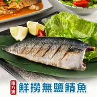 在飛比找ETMall東森購物網優惠-南方澳鮮撈無鹽鯖魚30片(110-120g/片)