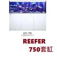 在飛比找蝦皮購物優惠-【藍箱水族】紅海Red Sea REEFER 750 珊瑚礁