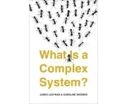 What Is a Complex System?