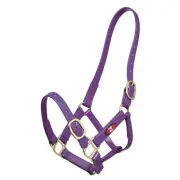 Zilco 25mm PN Headstall - Full Size Purple