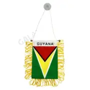 Guyana Flag Mini Banner / Guyana Flag / Double Sided Mini Guyana Car Window Flag