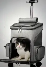 wheeled grey pet carrier backpack with wheels collapsible pet travel carrier