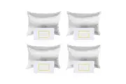4PK Royal Comfort Pure Silk Pillowcase Single Pack Pillow Case 51x76cm Silver
