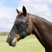Capriole Horse PVC Mask Fly Veils With Nose Patch - Summer Horse Rug