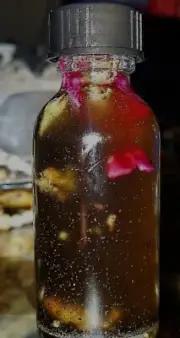 Adam and Eve Love Oil - Invoke Compassionate Love - Ignites Lovers Flame