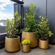 Elegant Gold Planters / Gold Pots – Set of 4
